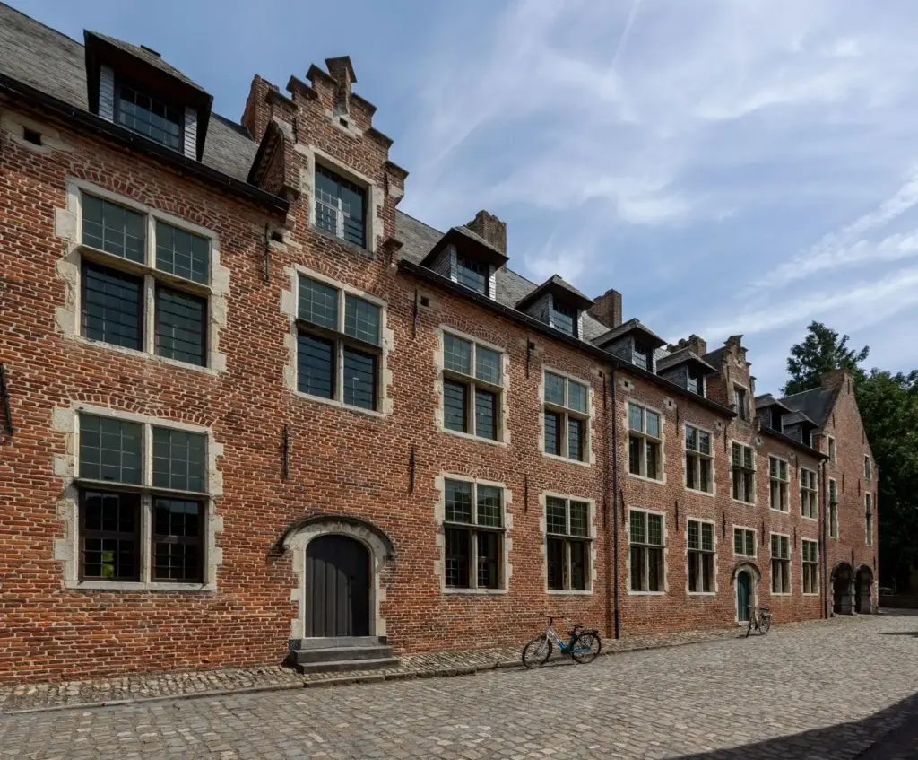 waarom graphic novels steeds vaker de boekenkast domineren