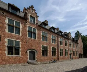 waarom graphic novels steeds vaker de boekenkast domineren